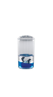 Dolphin Accessories Set