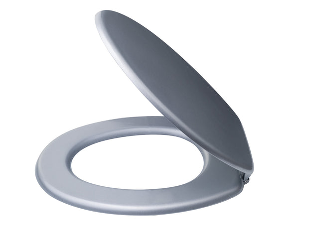 Shimmer Silver Toilet Seat