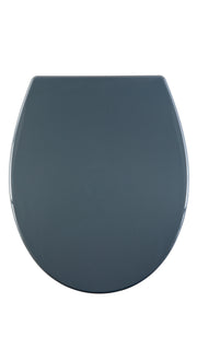 Thermoplastic Toilet Seat